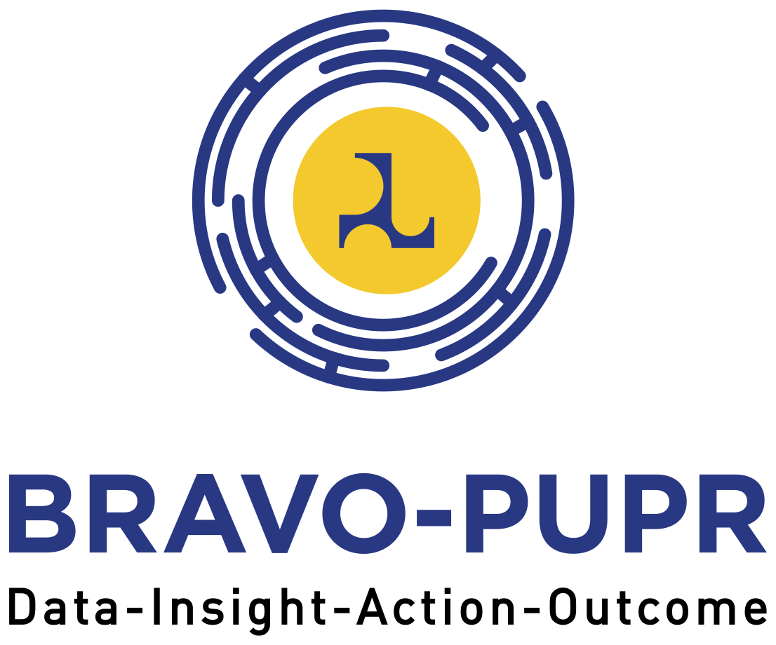 Logo BRAVO